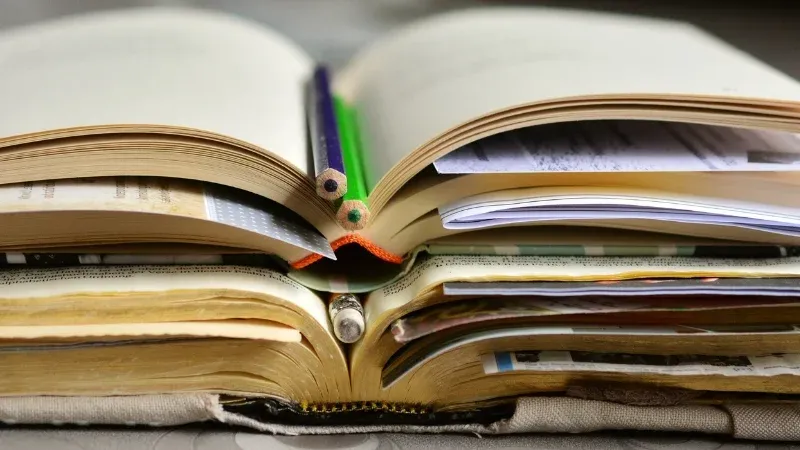 A importância da educação dentro dos presídios brasileiros