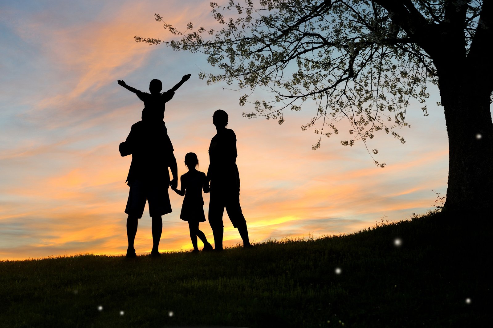 Laços Familiares